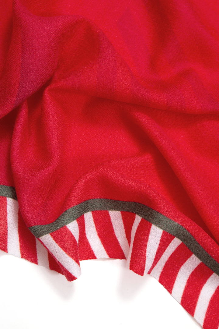 NORTH STAR | Holiday 2024 Limited Edition