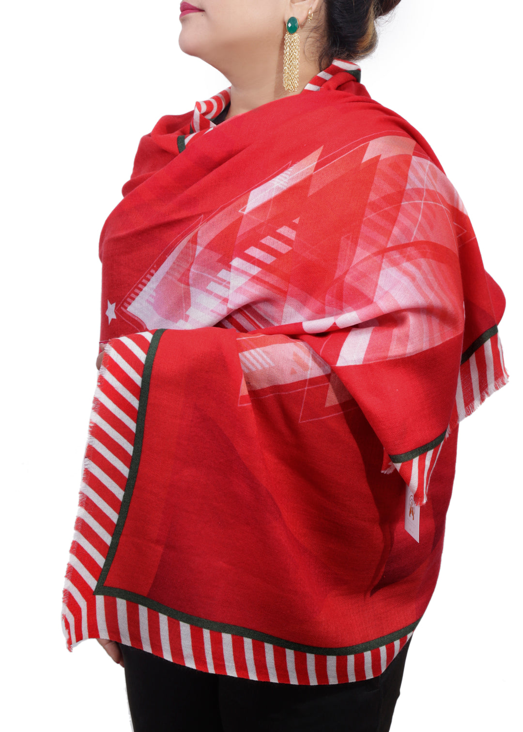 NORTH STAR | Holiday 2024 Limited Edition